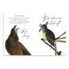 Effin’ Birds Hardcover Book | Reynolds