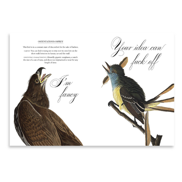 Effin’ Birds Hardcover Book | Reynolds