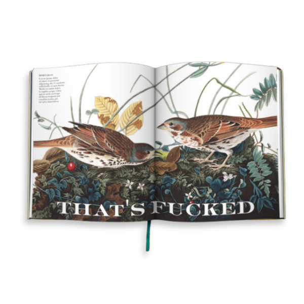 Effin’ Birds Hardcover Book | Reynolds