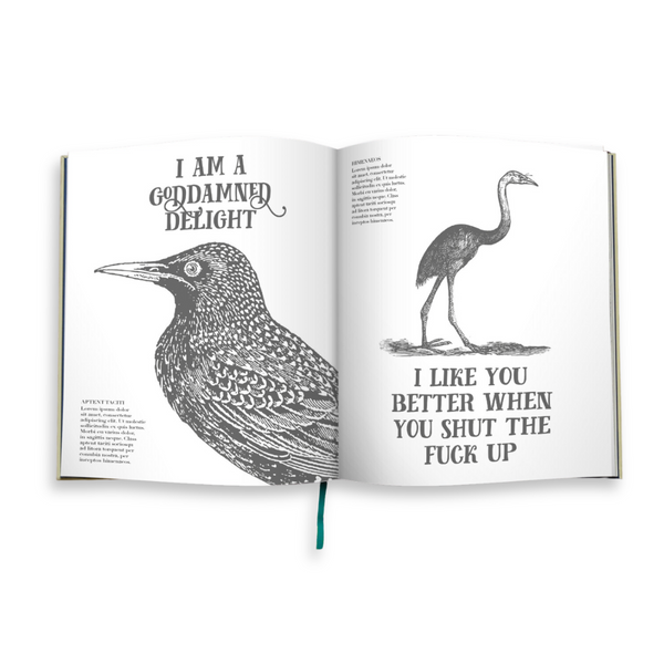 Effin’ Birds Hardcover Book | Reynolds