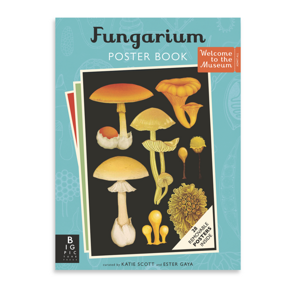 Fungarium | Welcome to the Museum Book Collection