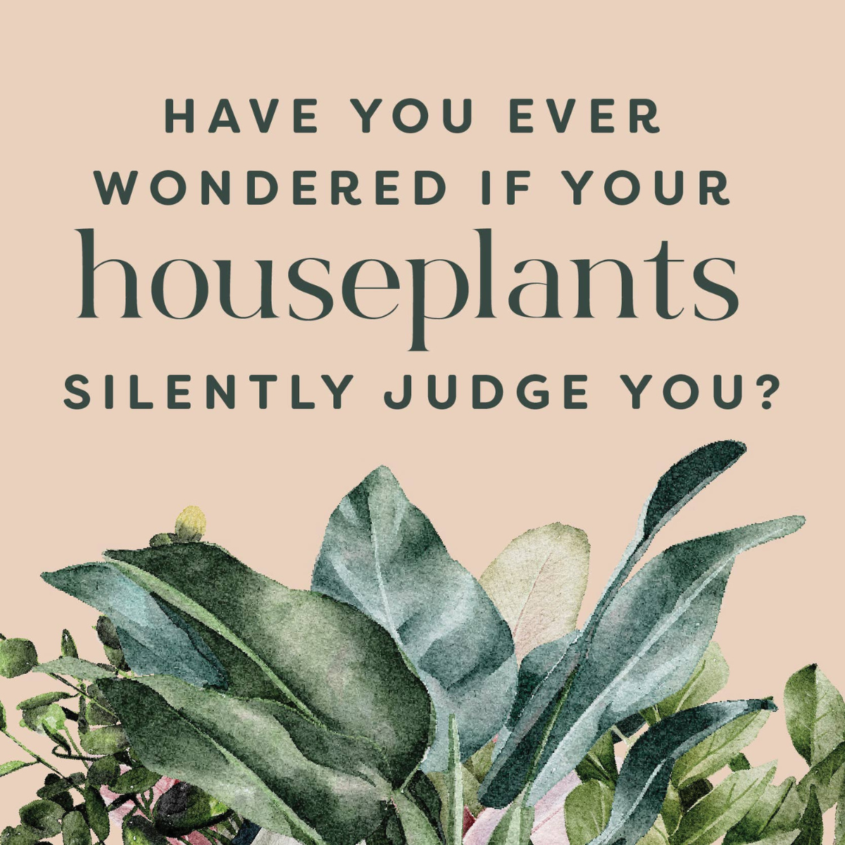 Houseplants and Their Fucked-Up Thoughts | Carlyle Christoff