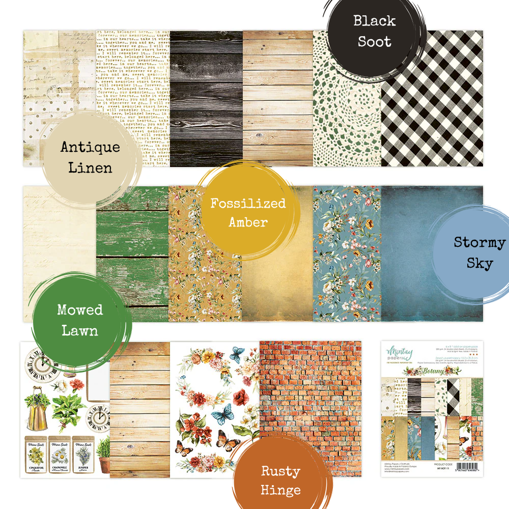 Botany 12x12 Double-Sided Scrapbook Paper | Singles