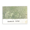 Bundled Sage Distress Spray Stain