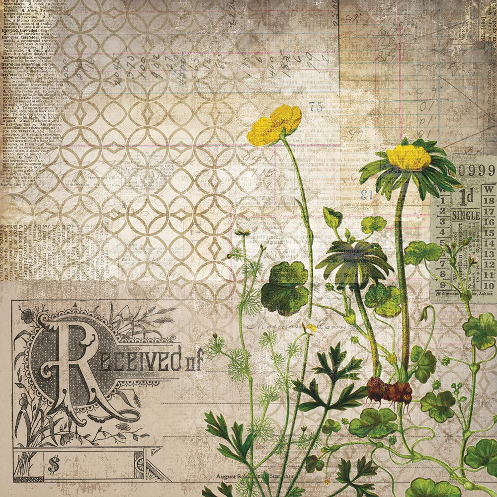 Wallflower 8x8 Paper Stash | Tim Holtz Vault Release