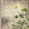 Wallflower 12x12 Paper Stash | Tim Holtz Vault Release