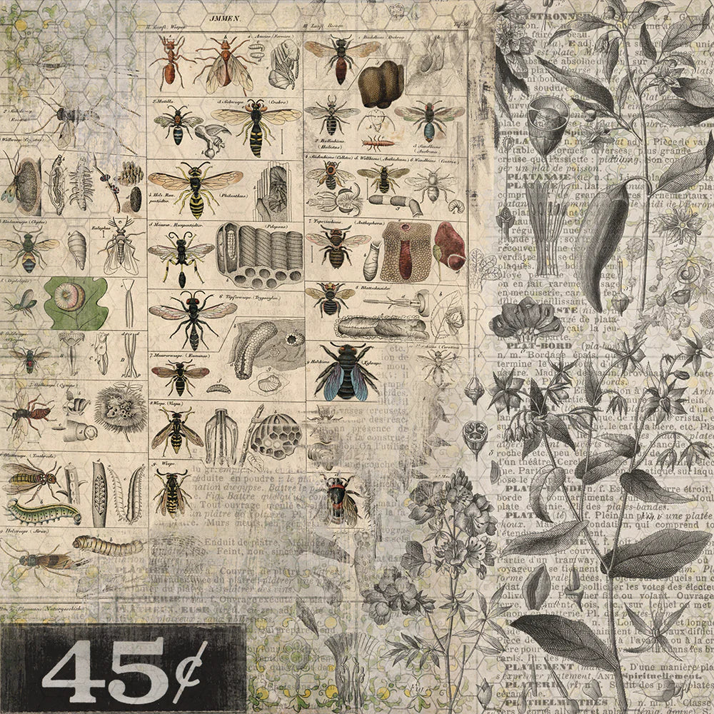 Wallflower 12x12 Paper Stash | Tim Holtz Vault Release