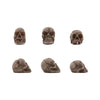 Skulls {Halloween 2024} | idea-ology