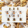 The Bees Knees Collection 12pc Laser Cut Specimens