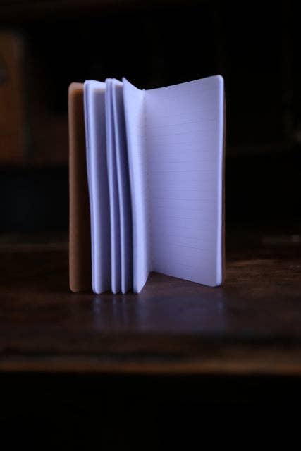 Notebook for Travelbooks (or maybe you just want a small notebook and that's great)