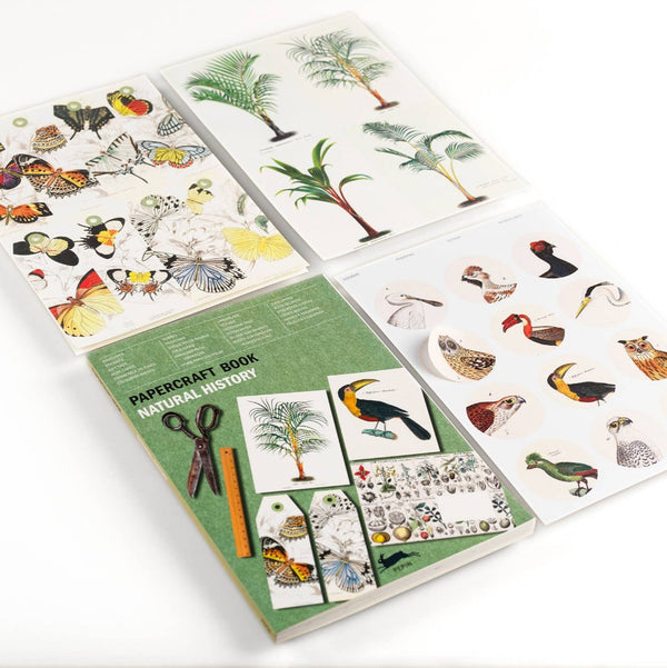 Natural History Papercraft Book