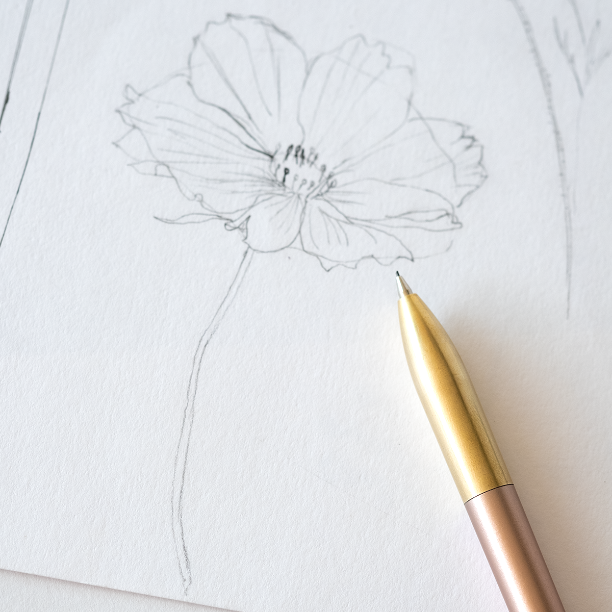 Mechanical Pencil | Ivy | 0.5mm