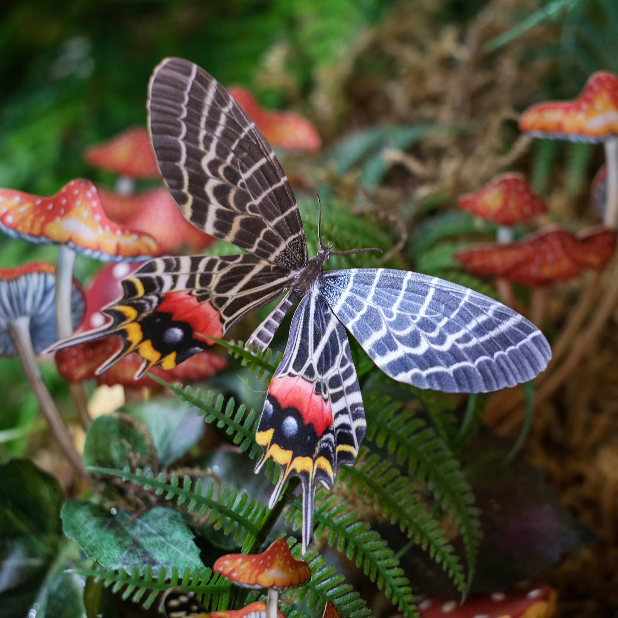 Flower Child Psychedelic Butterflies Laser Cut Specimens