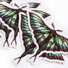 Luna Moth Illustration Stickers