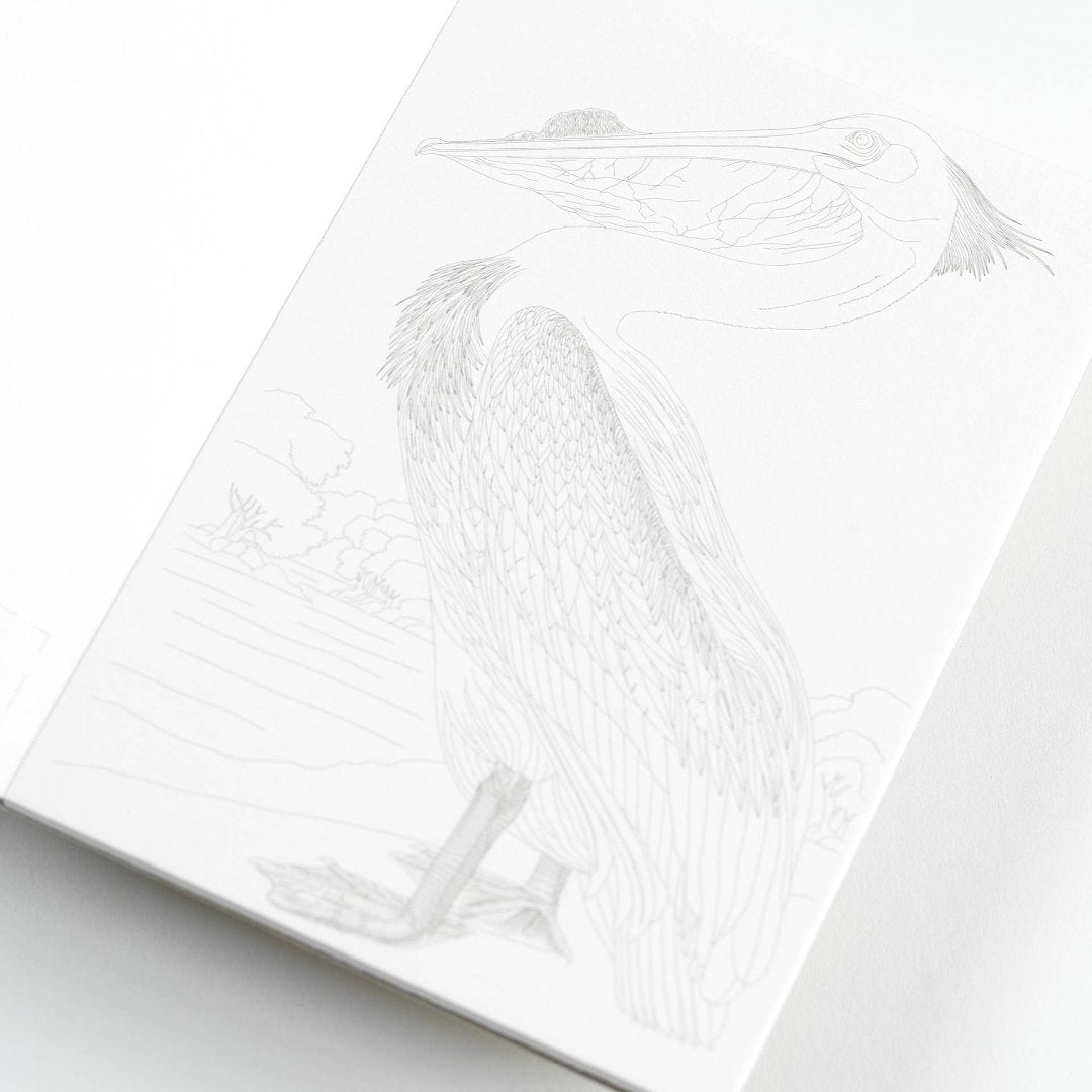 Natural History Watercolour Postcard Book