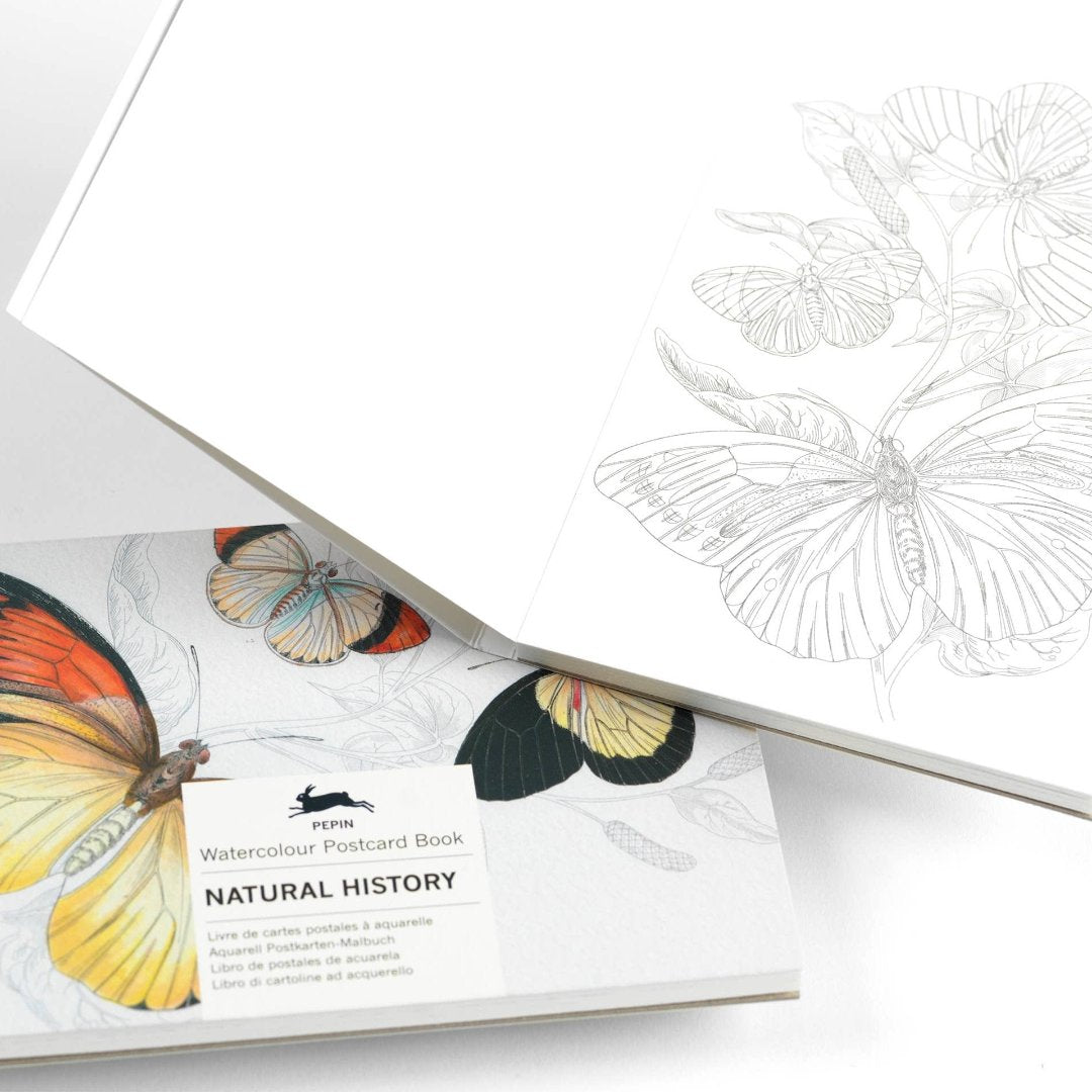 Natural History Watercolour Postcard Book