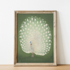 Showy Peacock Art Print {20x30}