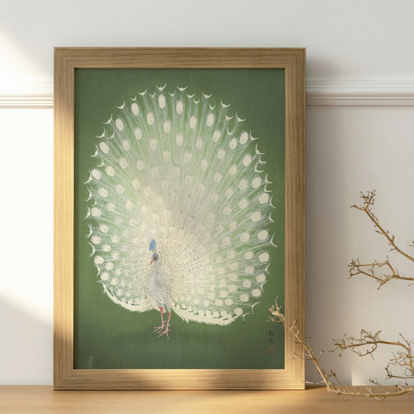 Showy Peacock Art Print {20x30}