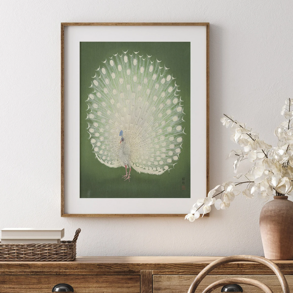 Showy Peacock Art Print {20x30}