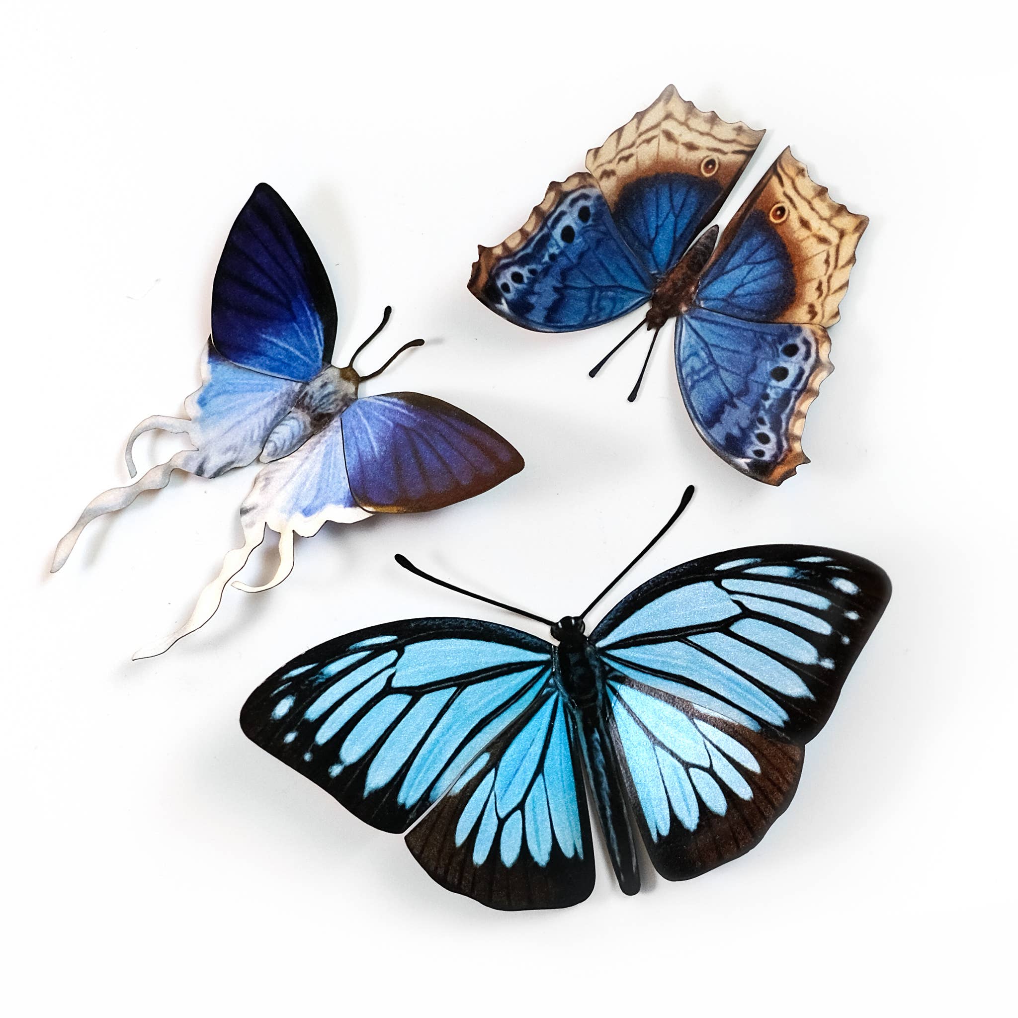 Lupine Butterflies 3pc Laser Cut Specimens