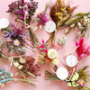 Dried Flower Bundles