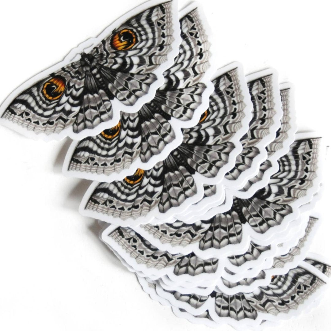 Leopard Moth Illustrated Sticker